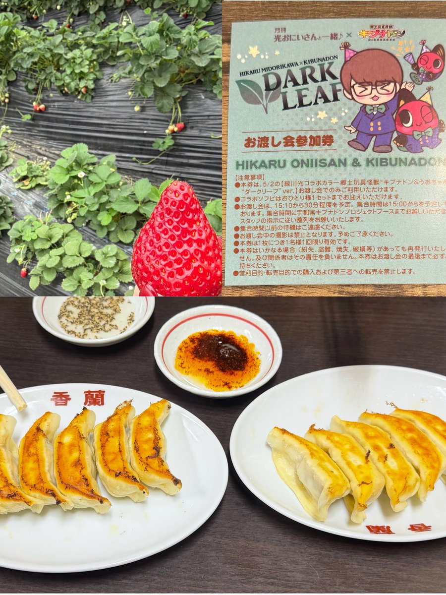 1日は餃子🥟食べて、イチゴ狩り🍓して、2日はとちてれ行って、お渡し会に参加してめちゃめちゃ充実した2日間でした🥰楽しかったぁ💞
お友達たちありがと〜🫶