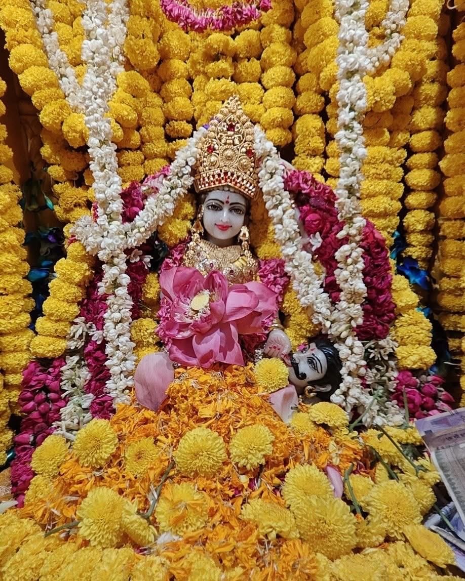 Maa BaglaMukhi Mandir tweet media