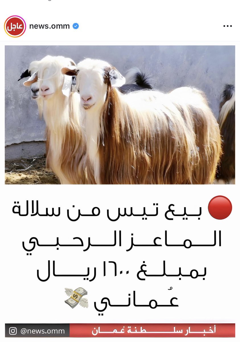 ناصر العلوي tweet media