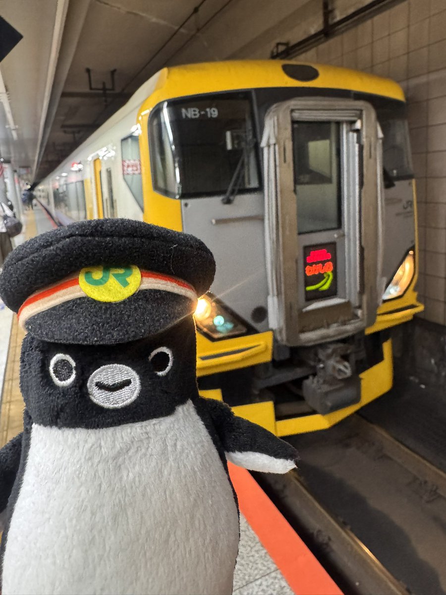 きよい tweet media