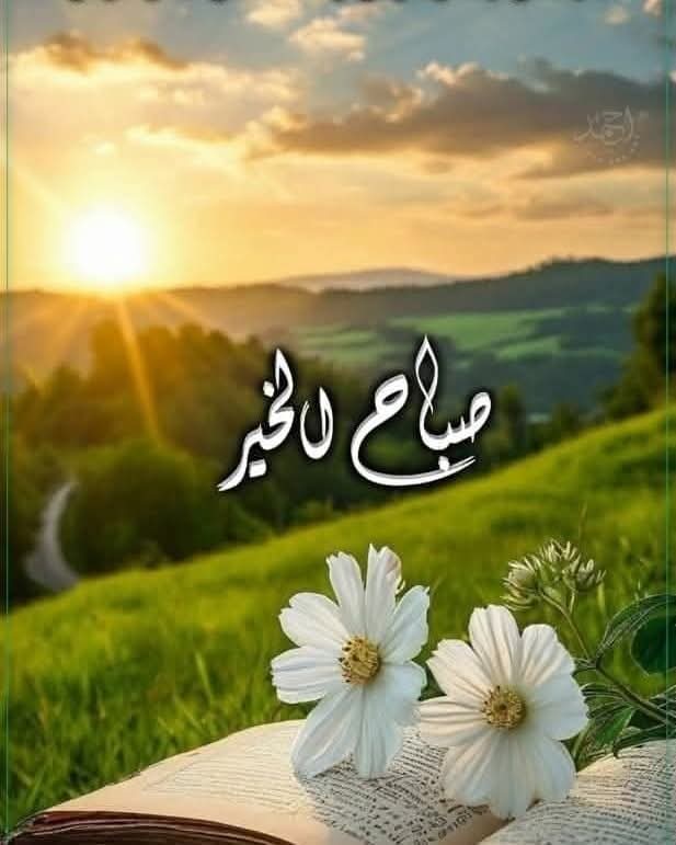 شجون شاعر tweet media