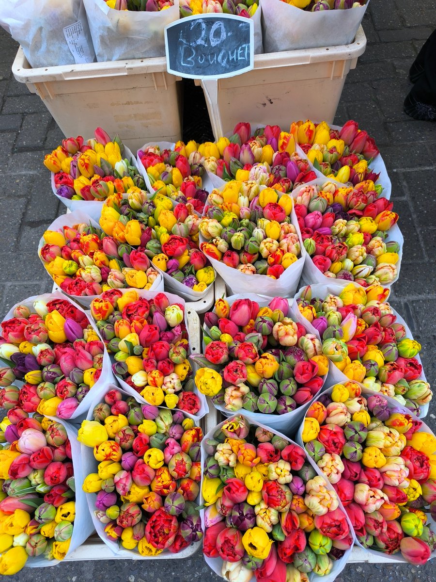 vratkoslun's tweet photo. v zemi tulipánů https://t.co/T1tvAtttc1