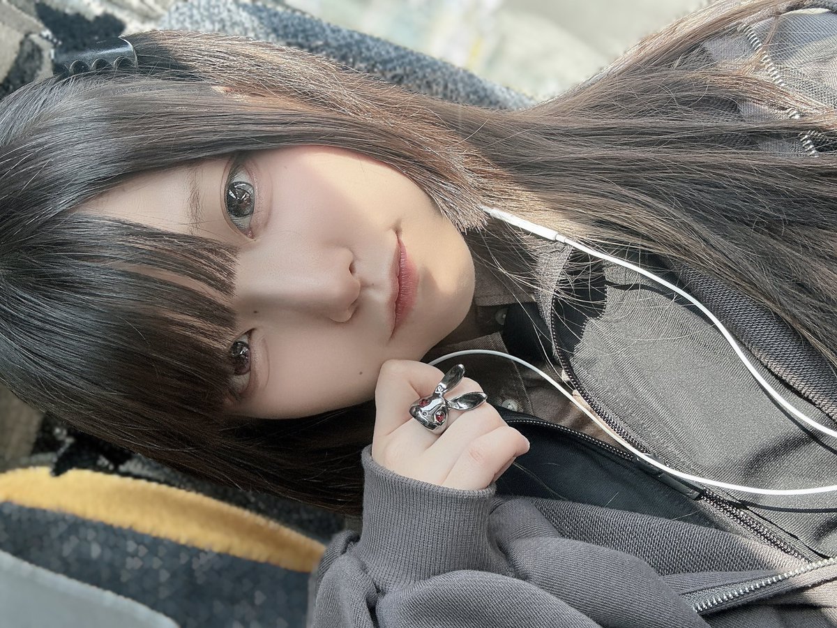 🚍🚍🚍