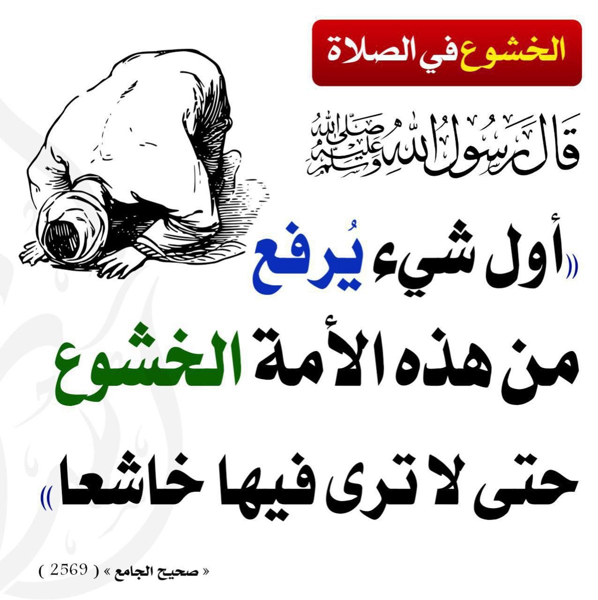 أبو علي الأثري tweet media