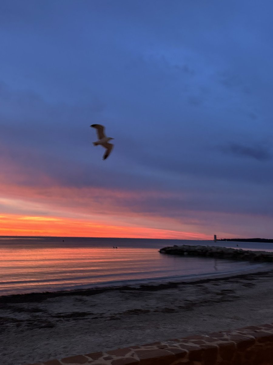 ReneTombarel's tweet image. En arrivant a 6h ce  dimanche #cannes #CotedAzurFrance @villecannes  @Cannes_France