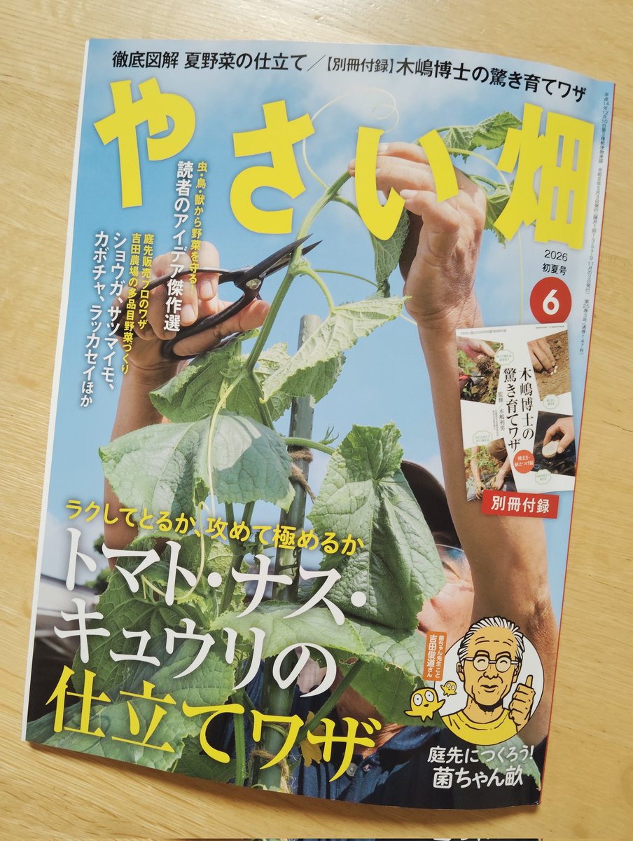Information/ 📣本日発売 家の光協会「やさい畑初夏号」にて 特集