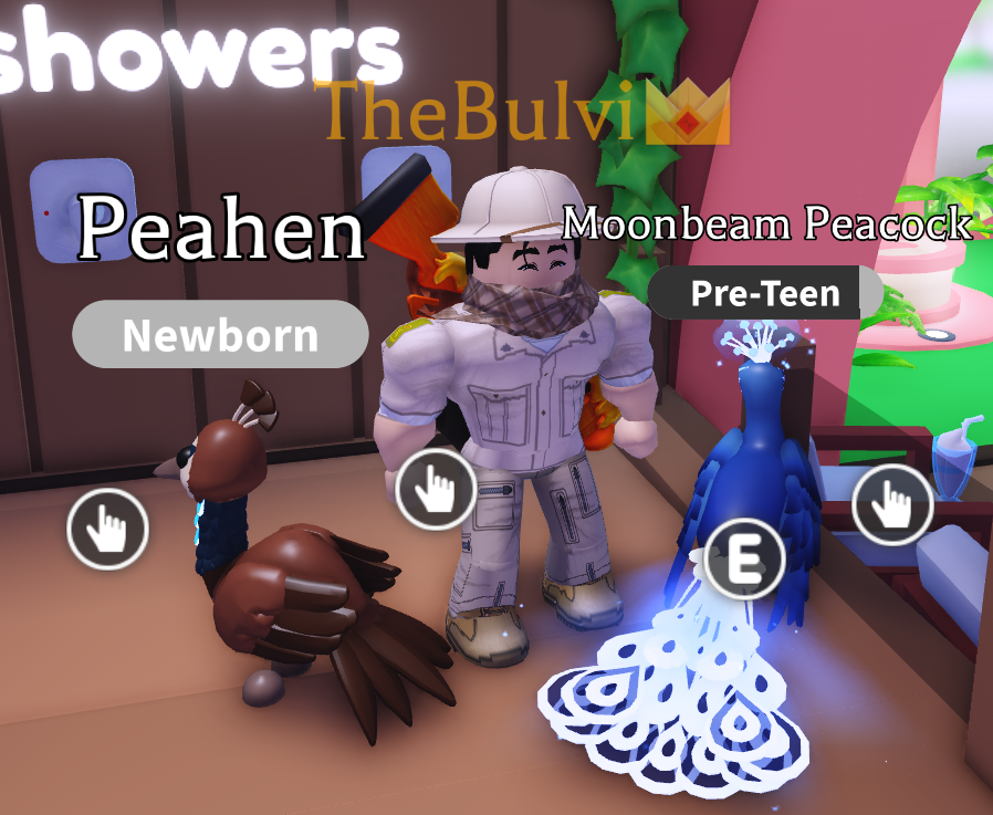 TheBulvi's tweet image. Finally caught the Peahen
#adoptme #roblox #legendary