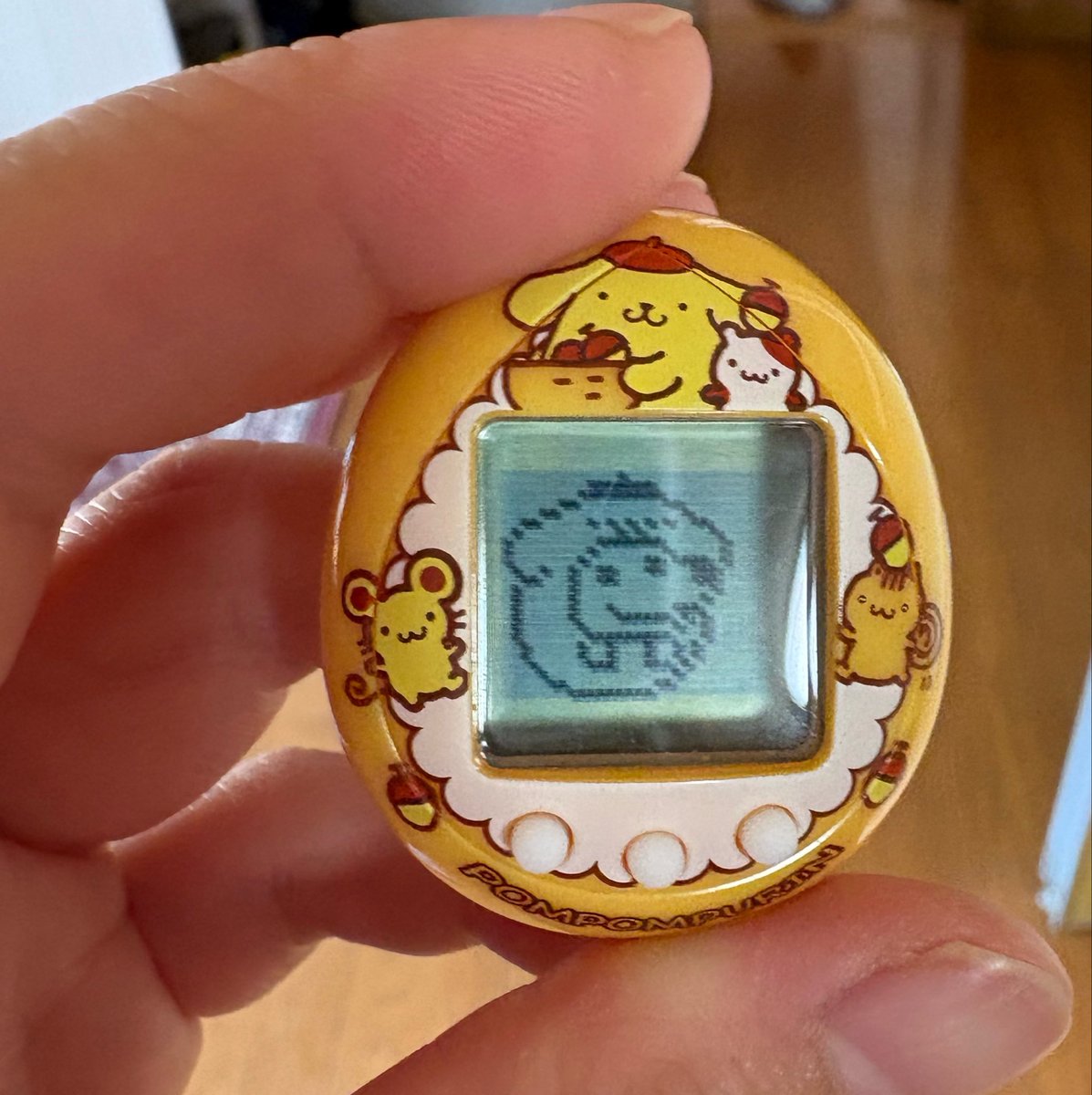 甥っ子がミニゲーム死ぬほどやってくれたおかげでポムポムプリンバージョンになった😭
