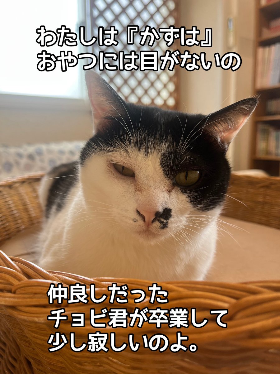 『おうちにおいで』 tweet media