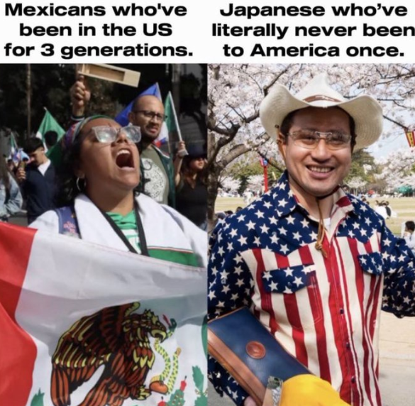 WallStreetMav's tweet image. We need to be much more selective about who we allow to come to the USA. 

We have been accepting the worst immigrants for several decades.