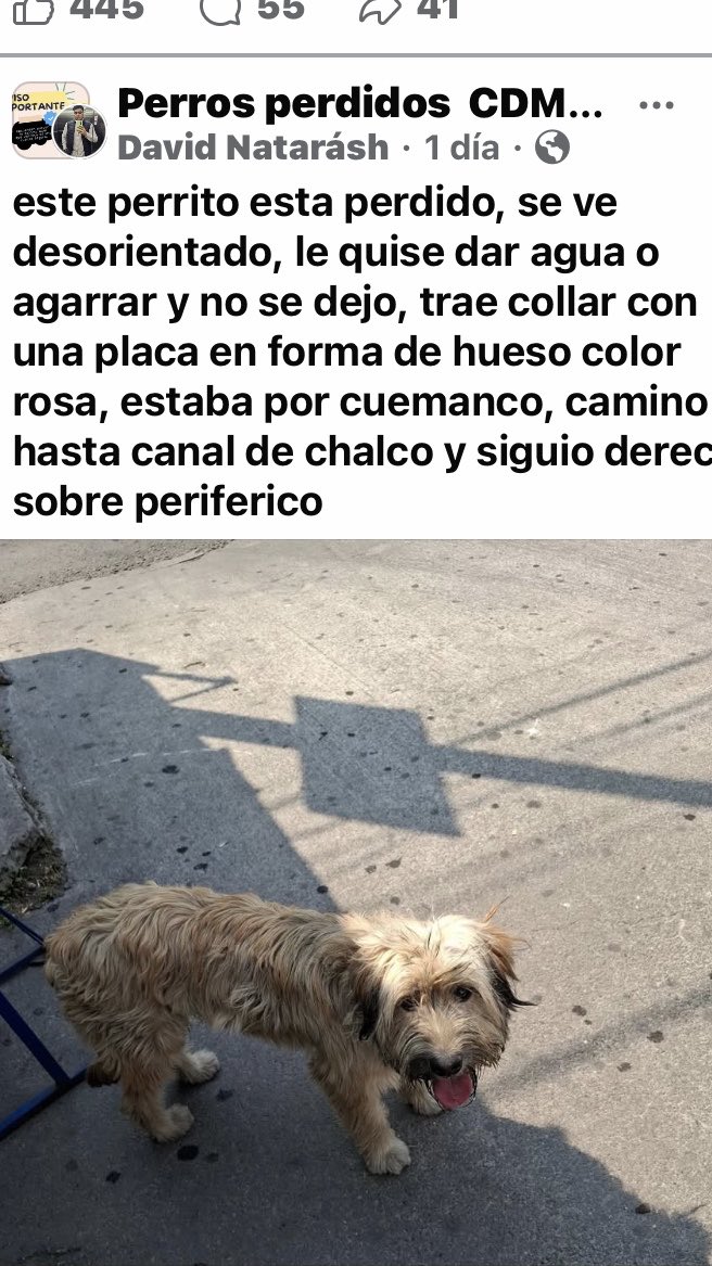 Dra Alejandra tweet media