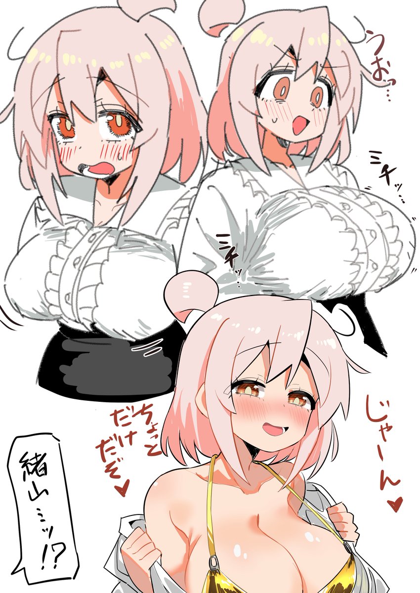 琴吹大王 tweet media