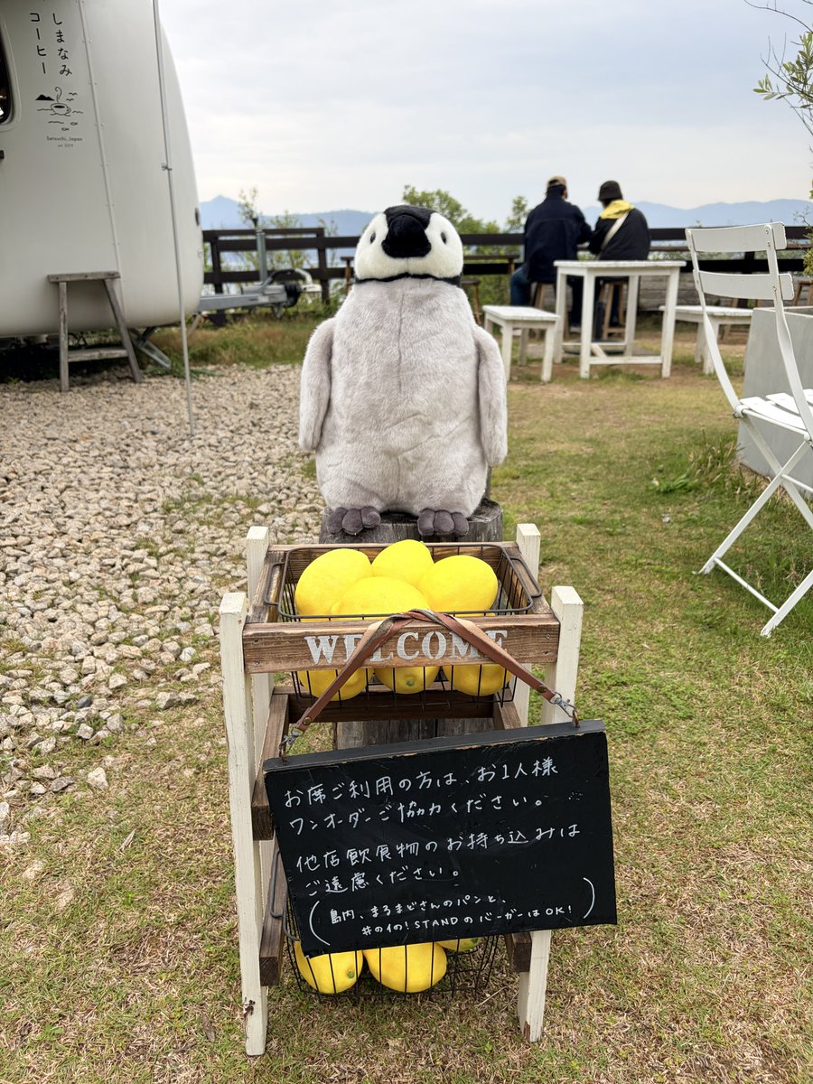 優杏@Poi🫐 tweet media