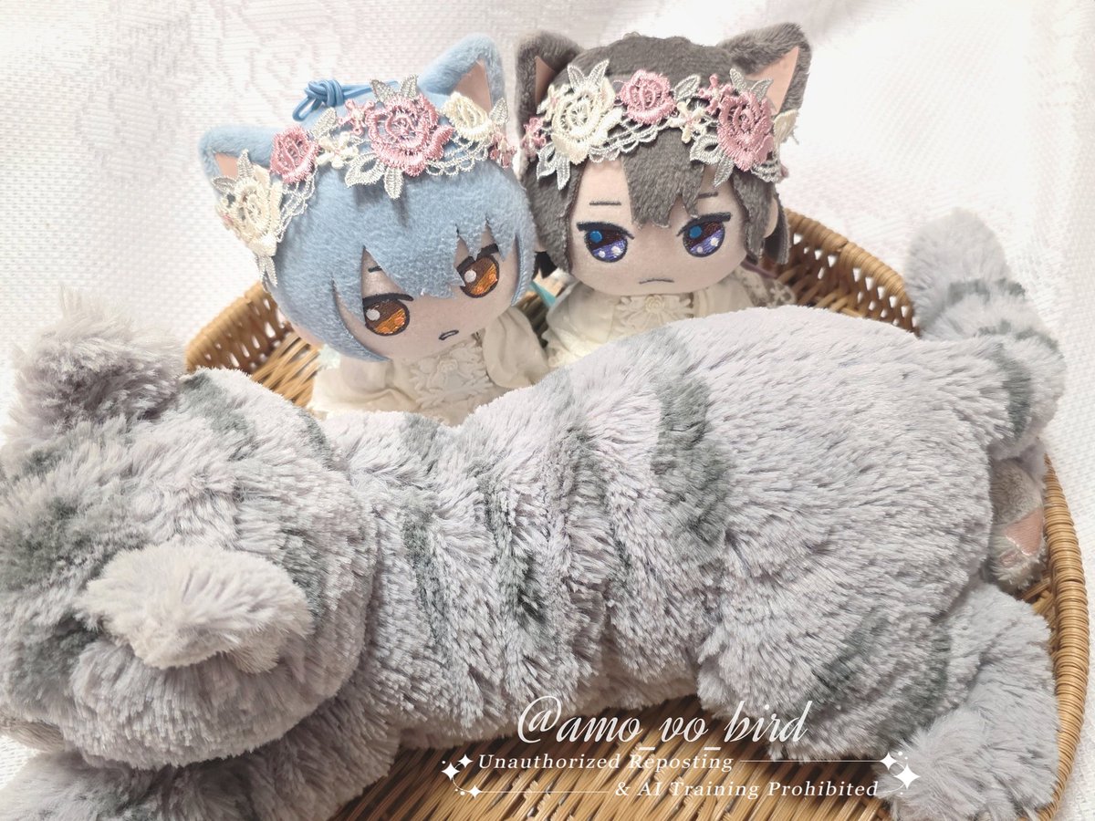 amu🩵💜5/5西１ス42a🍴🪞 tweet media