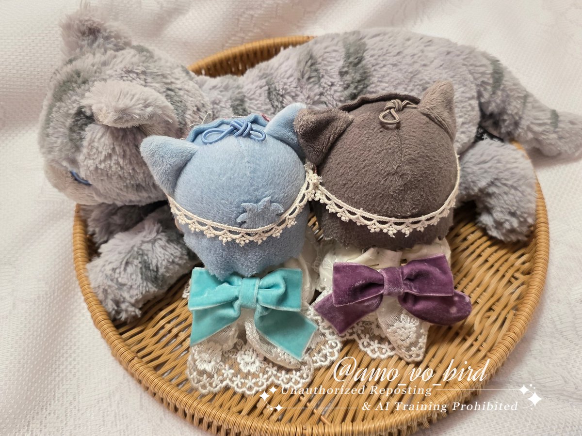 amu🩵💜5/5西１ス42a🍴🪞 tweet media