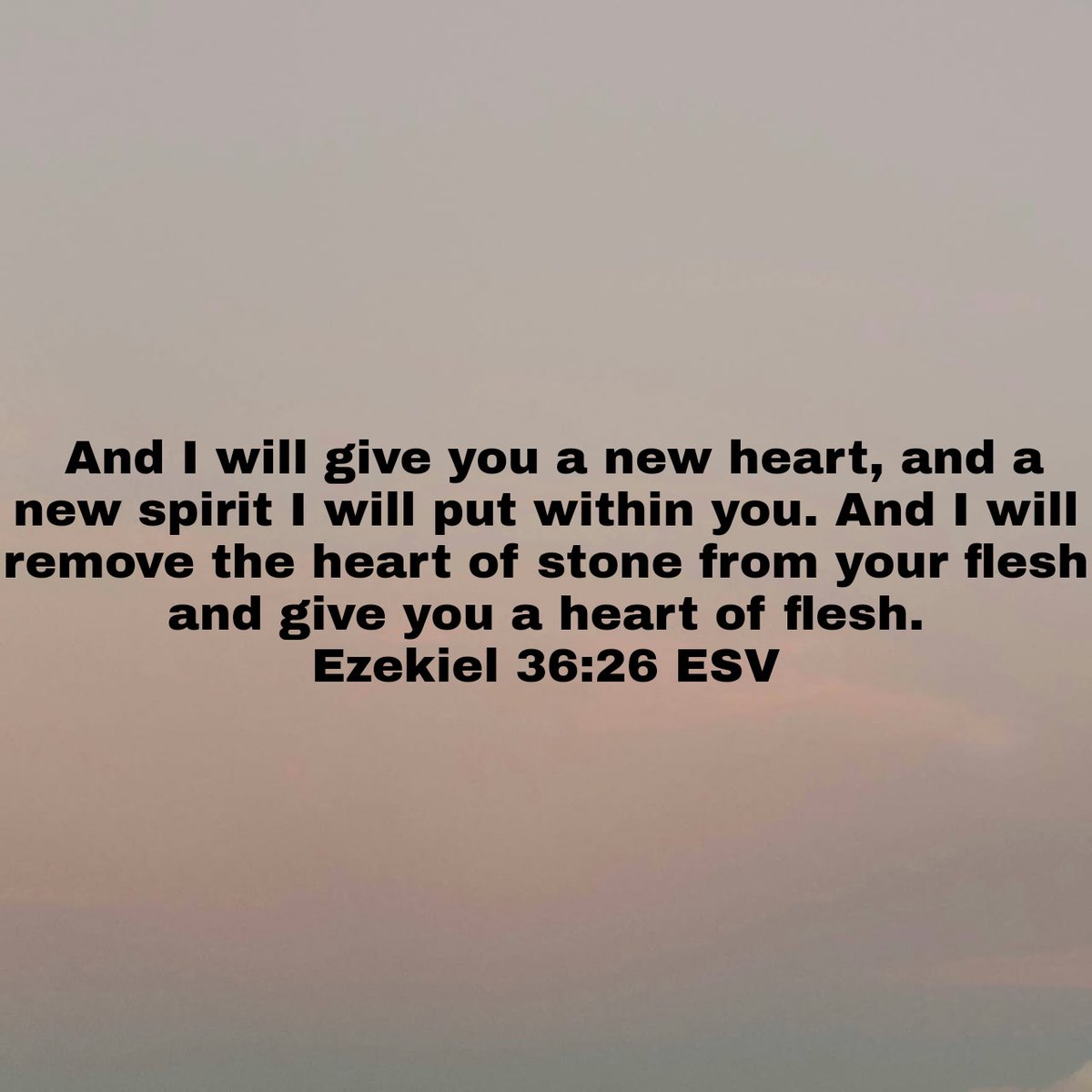 dbaytezekiel37's tweet image. Verse of the Day 
Ezekiel 36:26 ESV
"And I will give you a new heart, and a new spirit I will put within you. And I will remove the heart of stone from your flesh and give you a heart of flesh."
#verseoftheday #late #ezekiel36v26 #drybonearmy @youversion