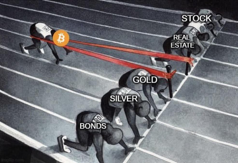 Bitprimo_viva's tweet photo. Resistencia y dureza https://t.co/NWCQUkUbvs