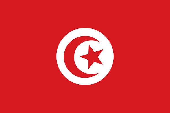 slaughtir's tweet photo. @wqlts @HelioGGs @retmgm @LunarPact_ and lunars is Tunisias country flag with a circle rather than a star flipped 90 degrees to the left. 99% of team logos are shit and i’ll keep enjoying dogging on all of them https://t.co/90FqlTzejN