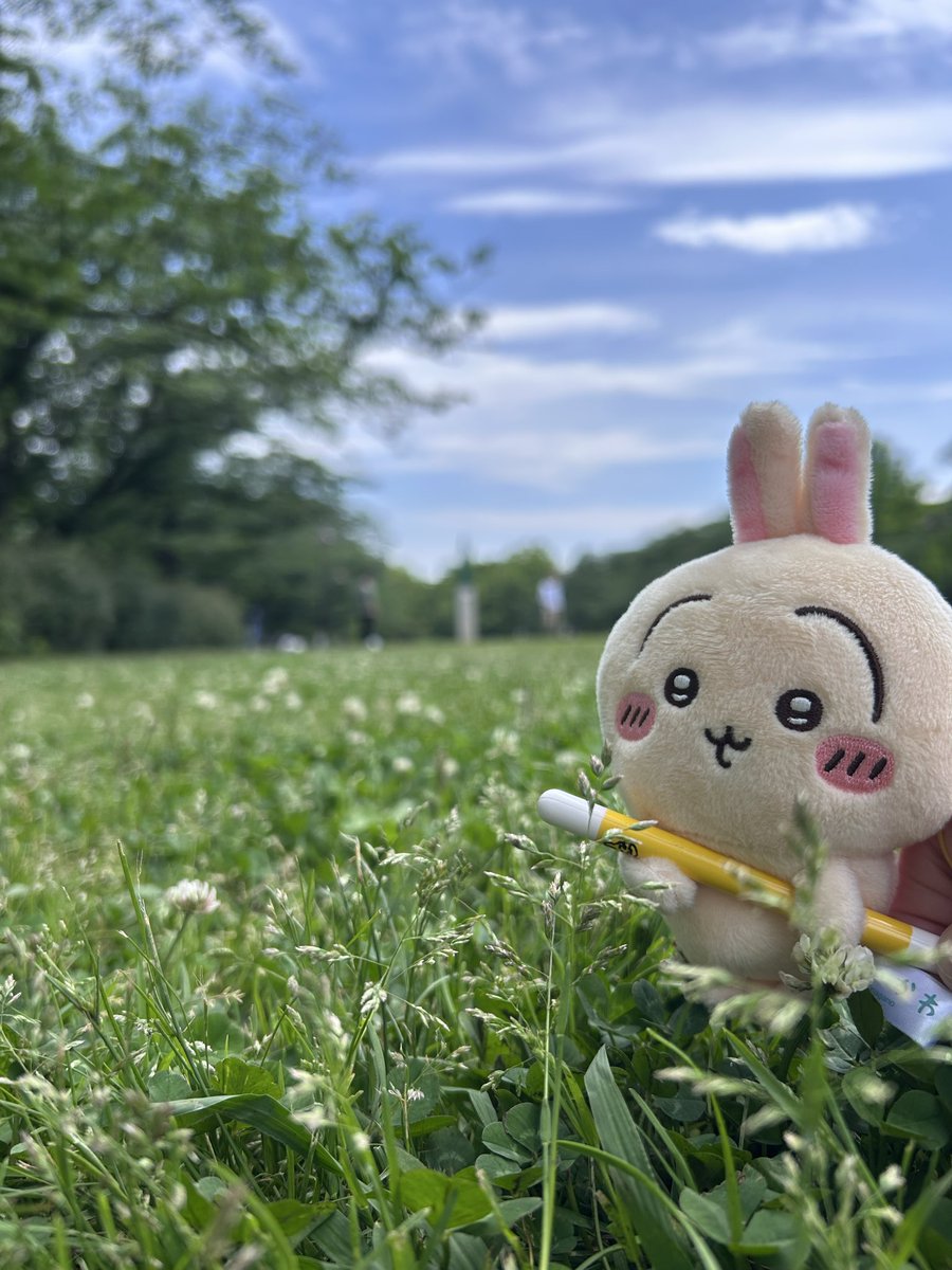 トマト tweet media