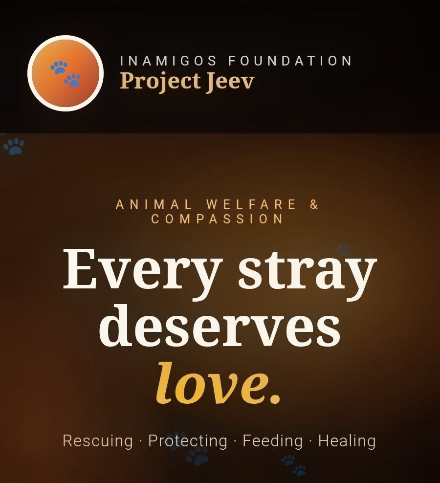 Harsh_7842's tweet image. #InAmigos Foundation #ProjectJeev

#Animal Welfare #SaveStrays

#FeedTheVoiceless

#CompassionForAnimals

#StrayAnimalCare

#IAF