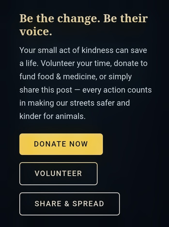 Harsh_7842's tweet image. #InAmigos Foundation #ProjectJeev

#Animal Welfare #SaveStrays

#FeedTheVoiceless

#CompassionForAnimals

#StrayAnimalCare

#IAF
