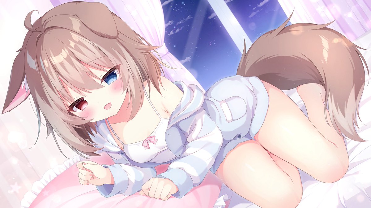 Wholesome And Kawaii tweet media