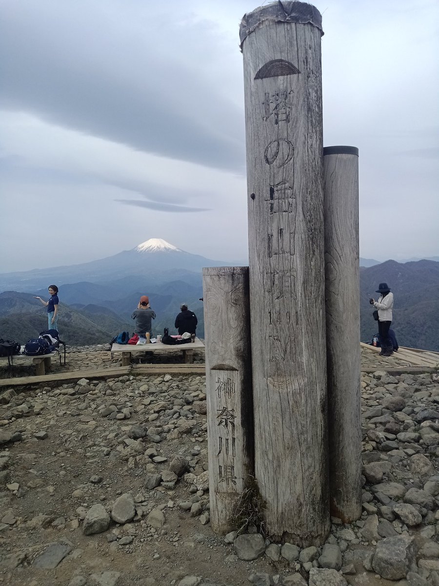 千馬 tweet media