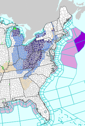 NWSOPC's tweet photo. Storm force wind warnings continue across the western Atlantic associated with a rapidly intensifying low pressure. Most up to date analysis/forecast info: https://t.co/N0GqocSYhm #MarineWx https://t.co/AQhvluxA4X
