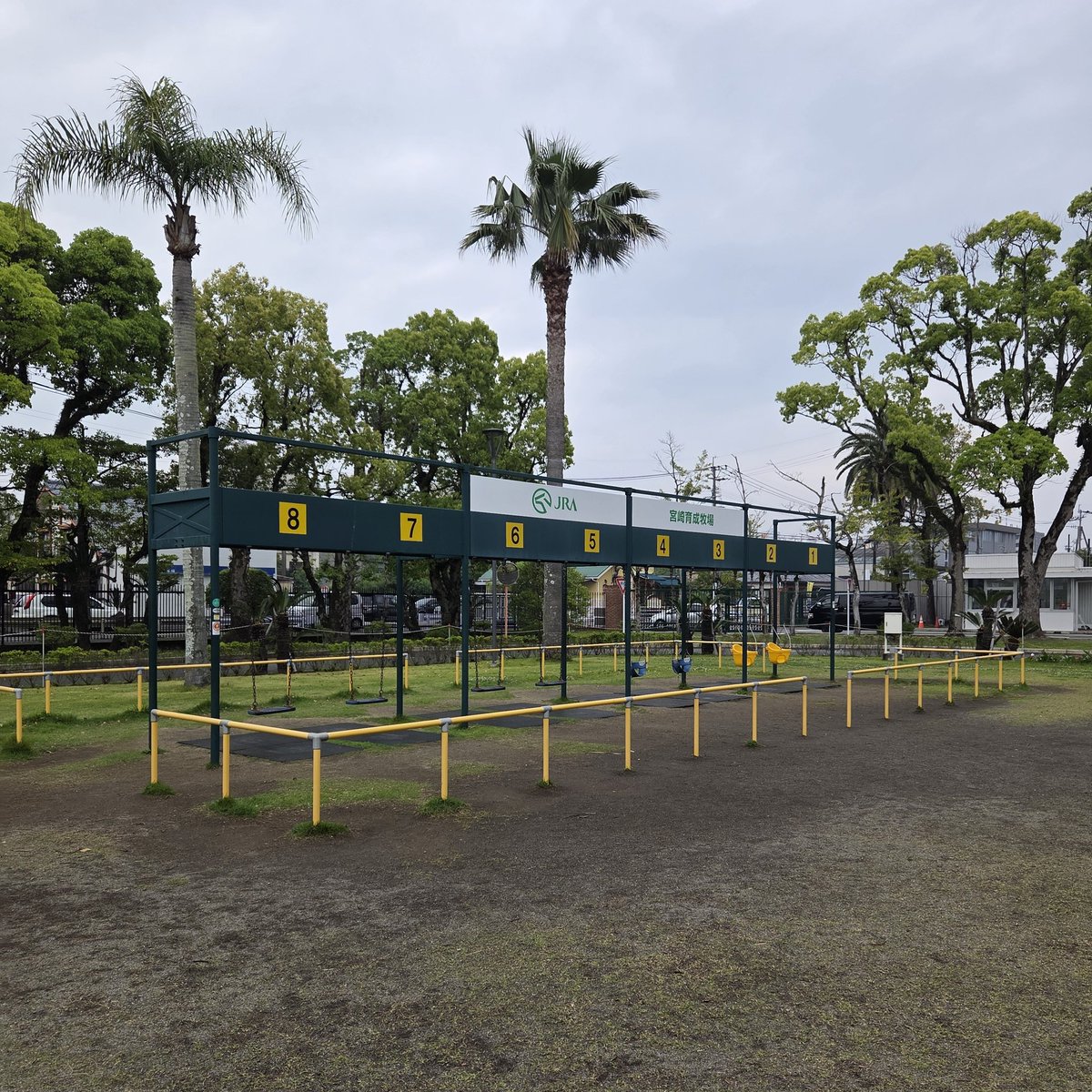 とりぽん tweet media