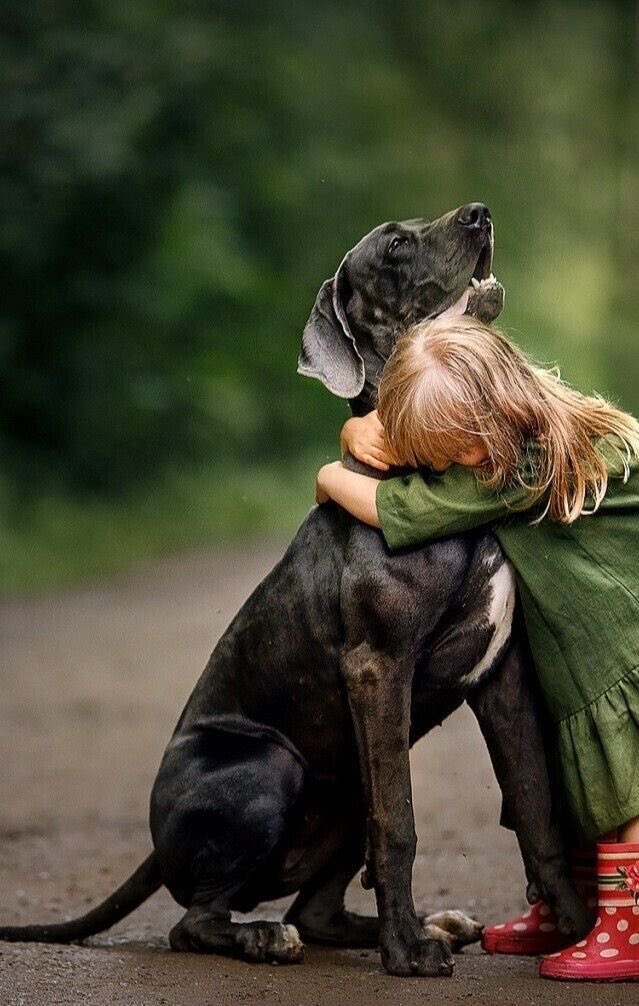 Rebeka80721106's tweet image. “Gli abbracci sono una delle poche cose al mondo che dovremmo dare senza paura e vergogna.Fanno bene al cuore”.
@DonatoMarinelli @Dida_ti @DavLucia @albertopetro2 @SalaLettura @Mercurimc @sorridicncausa @672Cilia @scimonelli 
#BuonaDomenicaATutti❤️
#HappySunday
#BomDia 
#3Maggio