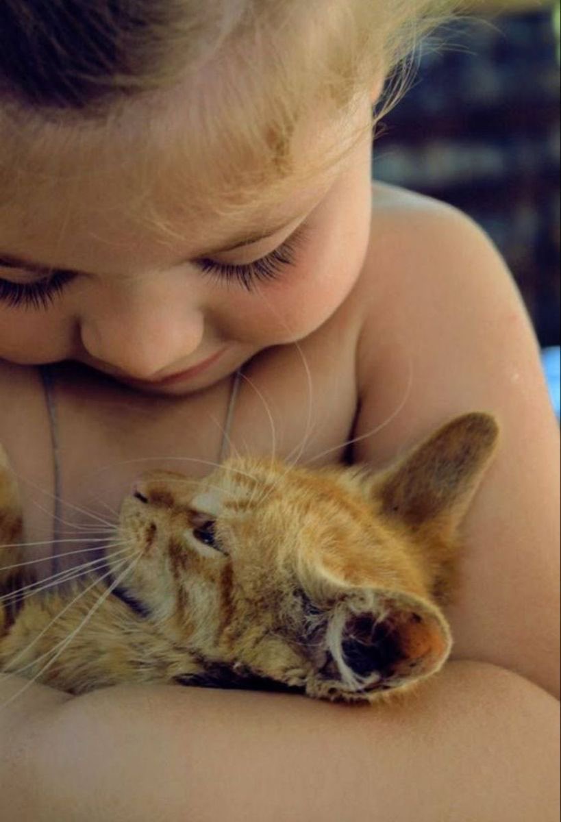 Rebeka80721106's tweet image. “Gli abbracci sono una delle poche cose al mondo che dovremmo dare senza paura e vergogna.Fanno bene al cuore”.
@DonatoMarinelli @Dida_ti @DavLucia @albertopetro2 @SalaLettura @Mercurimc @sorridicncausa @672Cilia @scimonelli 
#BuonaDomenicaATutti❤️
#HappySunday
#BomDia 
#3Maggio