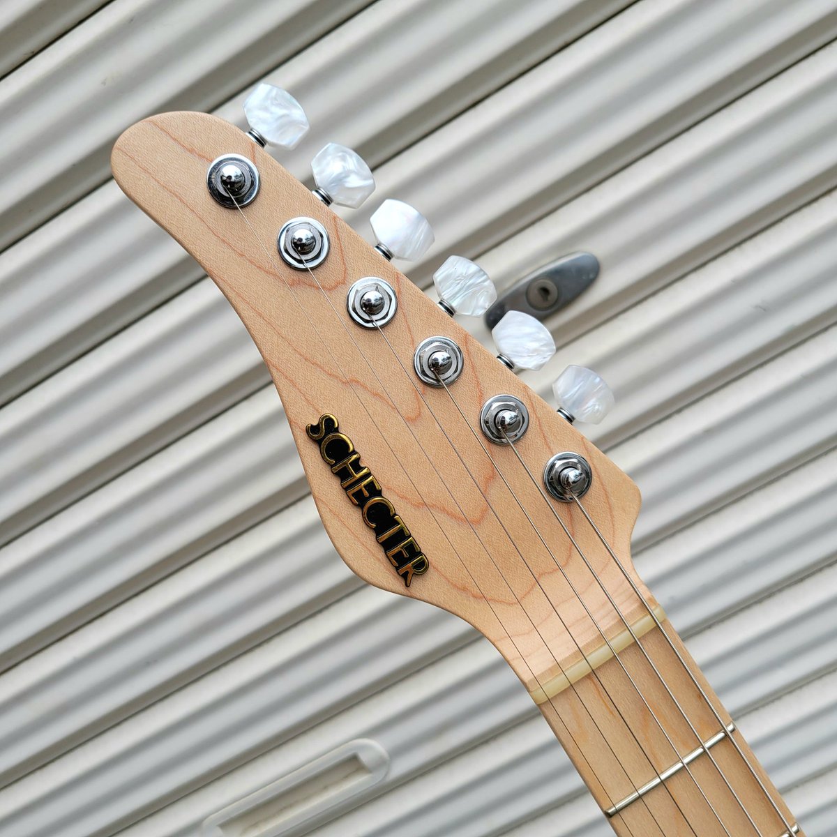 SCHECTER GUITAR JPN tweet media