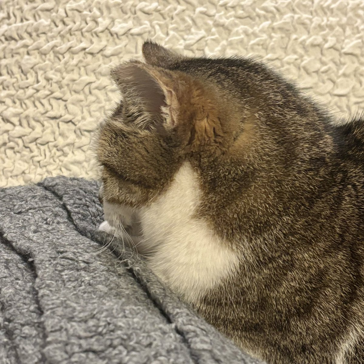 m329___'s tweet photo. https://t.co/L5aQNY6FDt