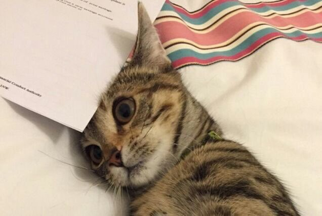 cornulda's tweet photo. cuando queres dormir pero te pones a pensar https://t.co/WgJUJdTopD