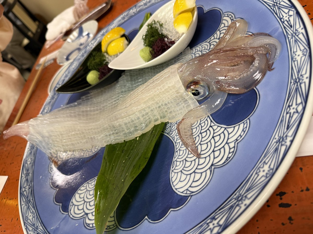 ビケンザグランマニエ tweet media