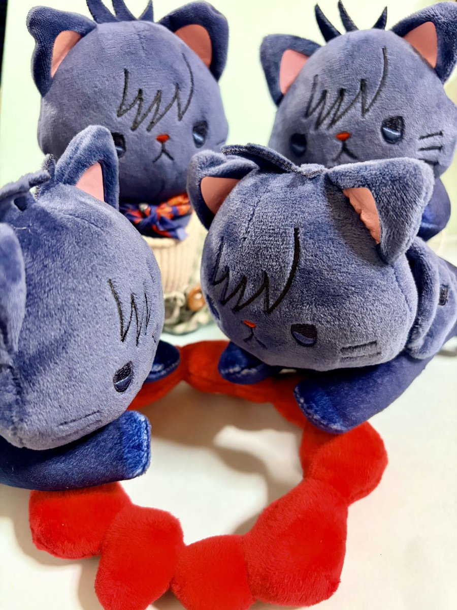 め👀 tweet media