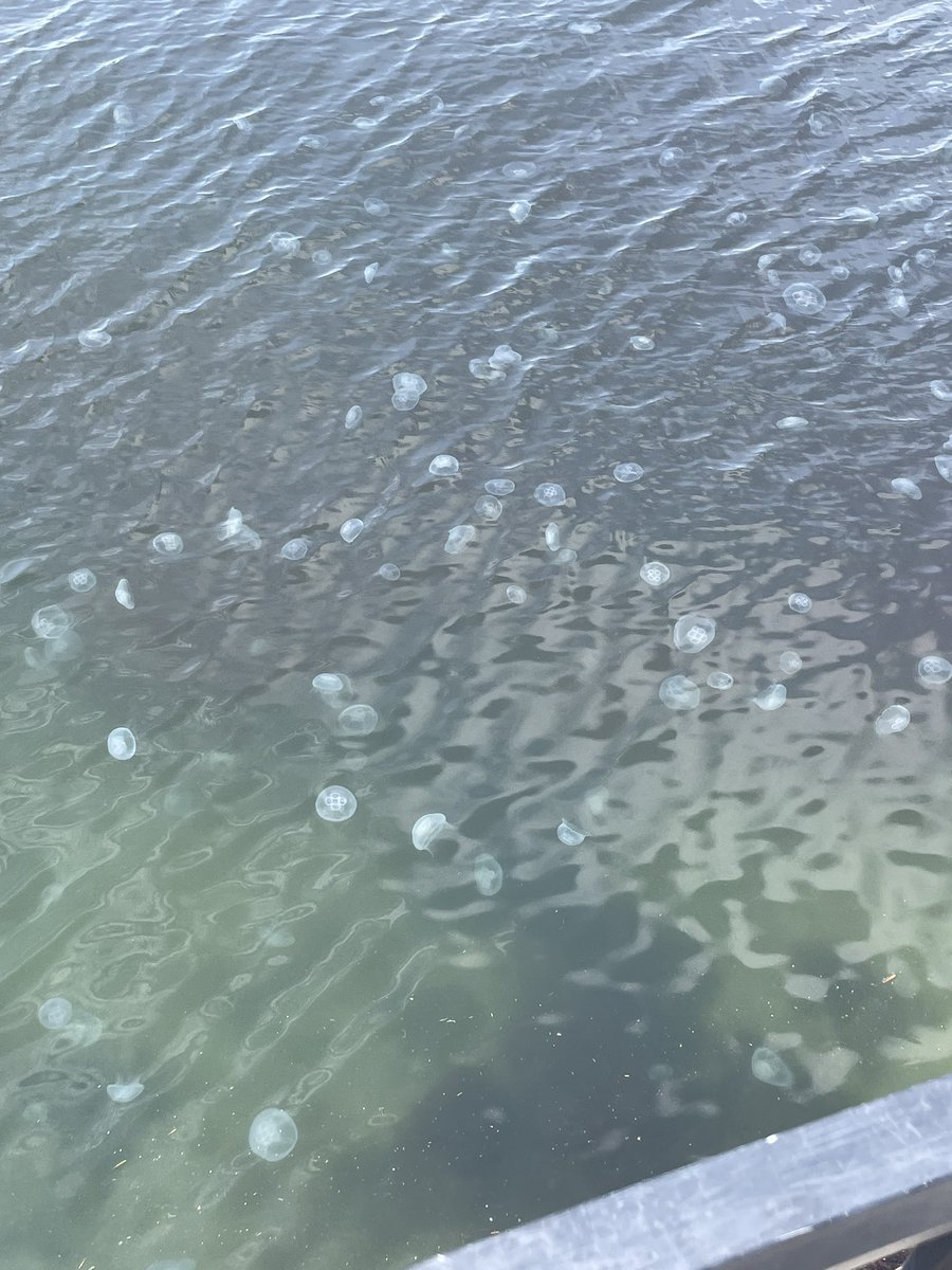海月 潜水駆逐艦「海月」