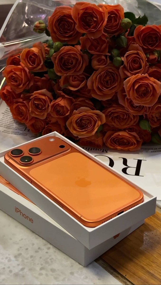 💛༼ ﮼منى ﮼المترفة༽🦌 tweet media