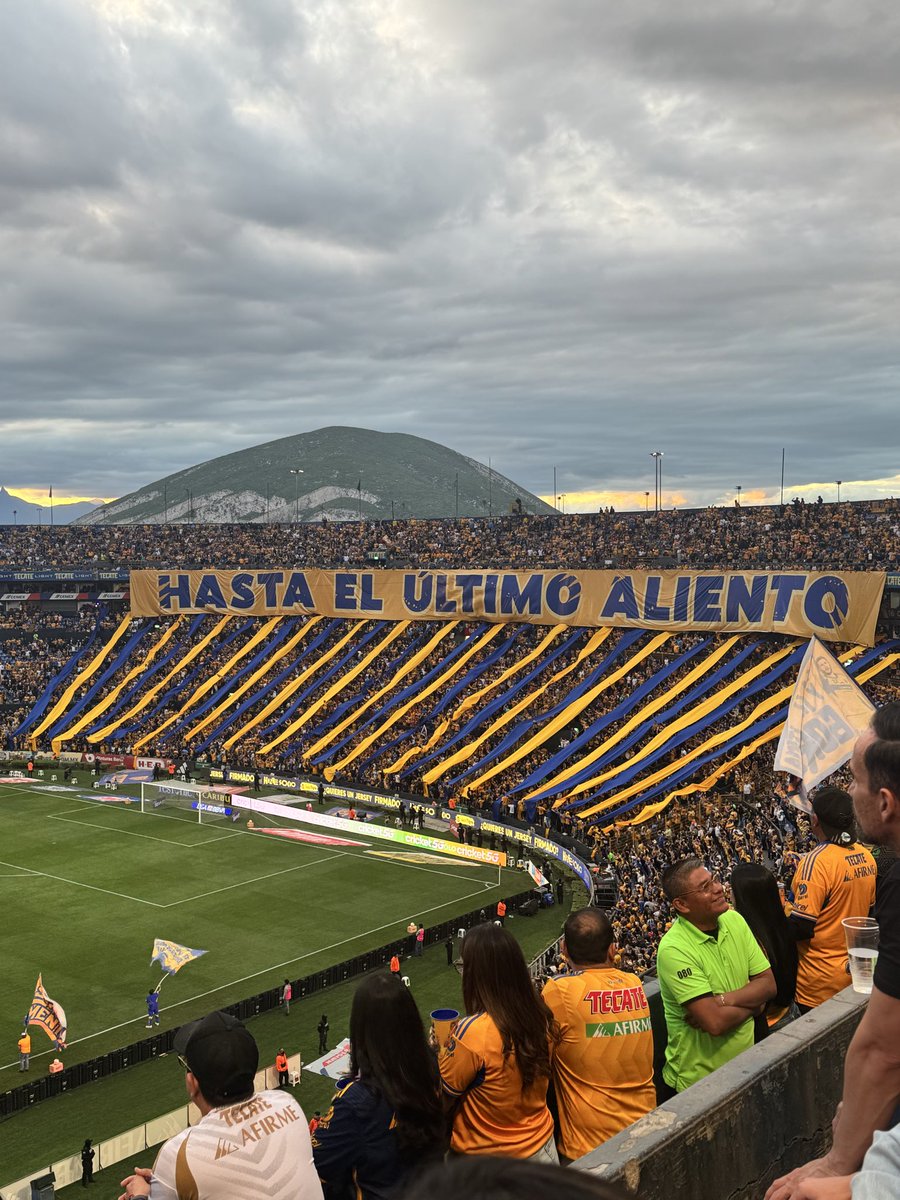 LOS TIGRES DE CORREA tweet media