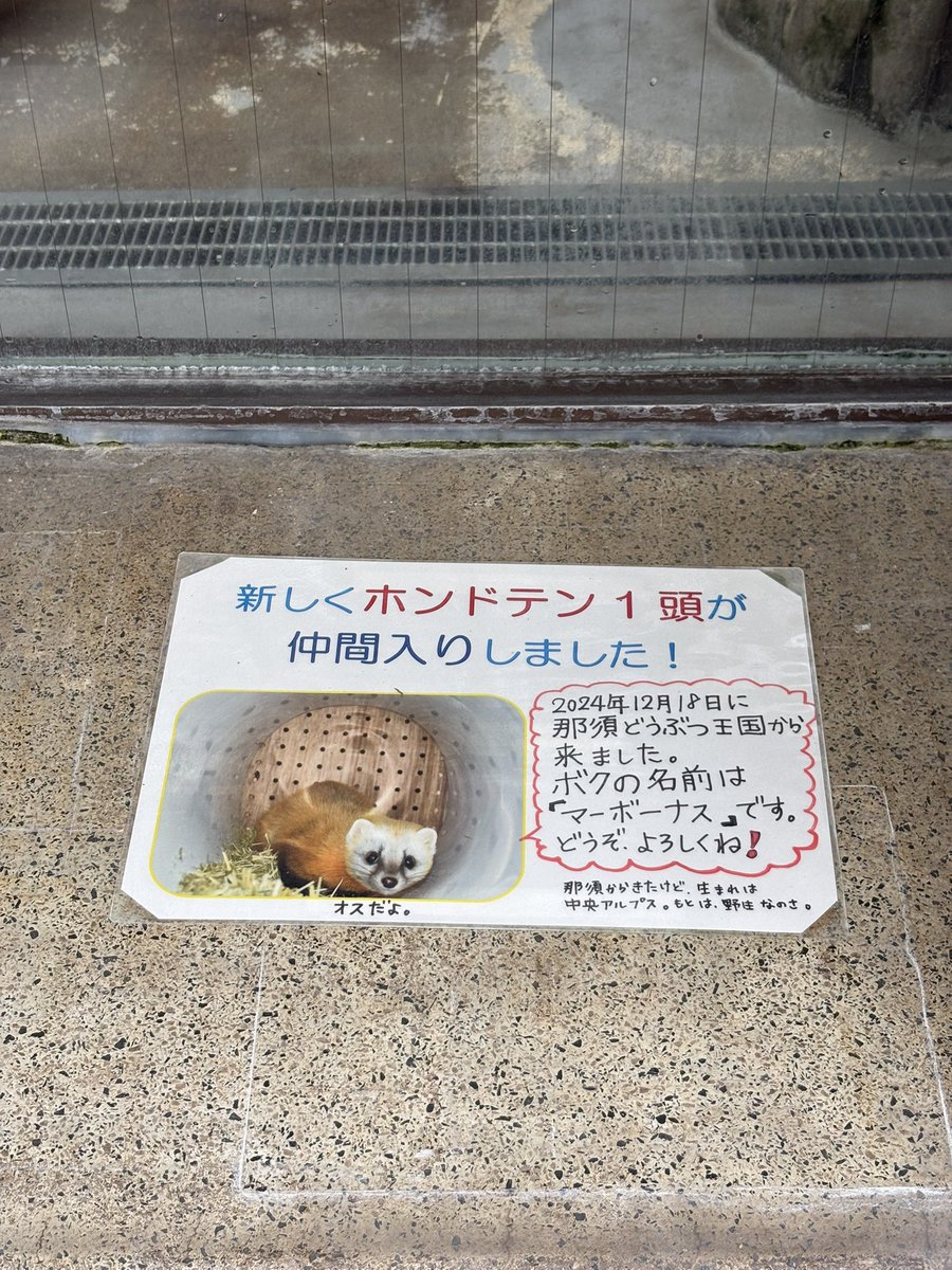あやか tweet media