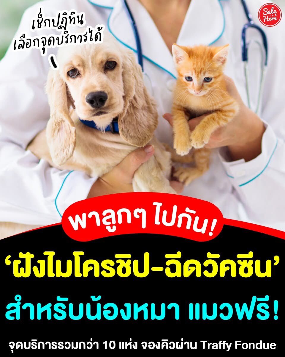 salehere1's tweet image. 📣 พาลูกๆ ไปกัน ✨ กทม. เปิดฉีดวัคซีน #พิษสุนัขบ้า #ฝังไมโครชิป สำหรับน้องหมา-น้องแมวฟรี จองคิวผ่าน Traffy Fondue กับจุดบริการรวมกว่า 10 แห่ง 

📍ดูรายละเอียด &amp;gt; facebook.com/share/p/1B1ATf…

#SaleHere #เซลเฮียร์ #ฉีดวัคซีนพิษสุนัขบ้า #ฉีดฝังไมโครชิป #จดทะเบียนสุนัขแมว