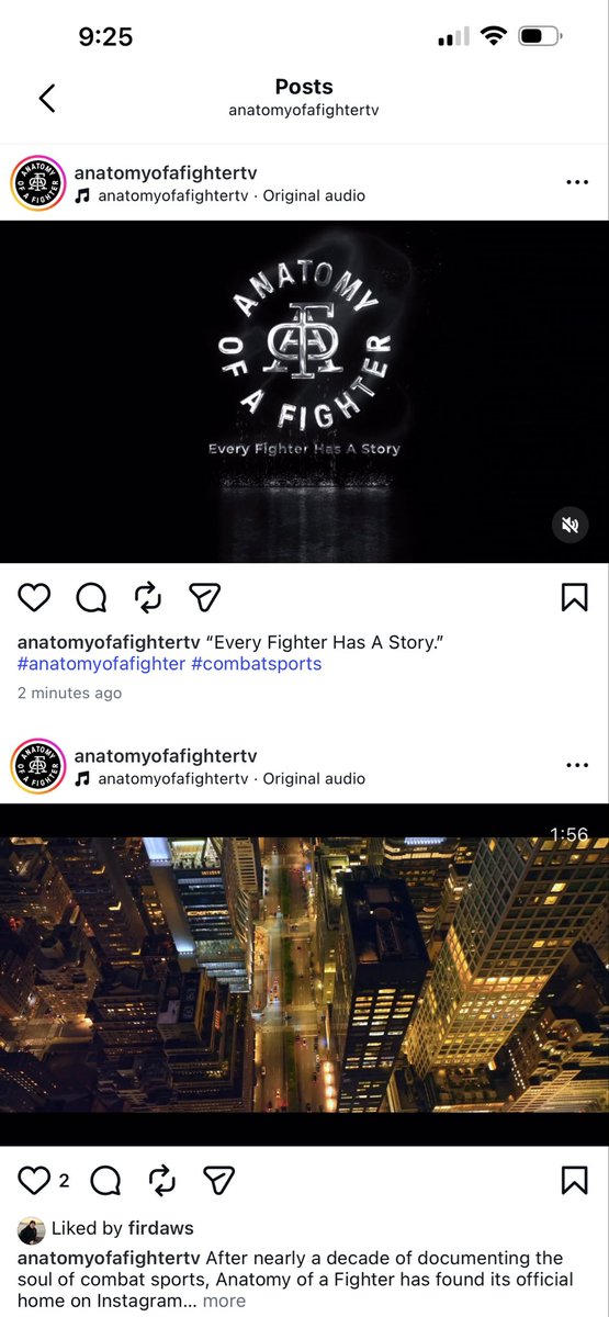 Anatomy of a Fighter tweet media