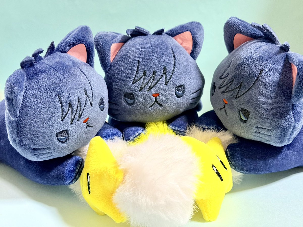 め👀 tweet media