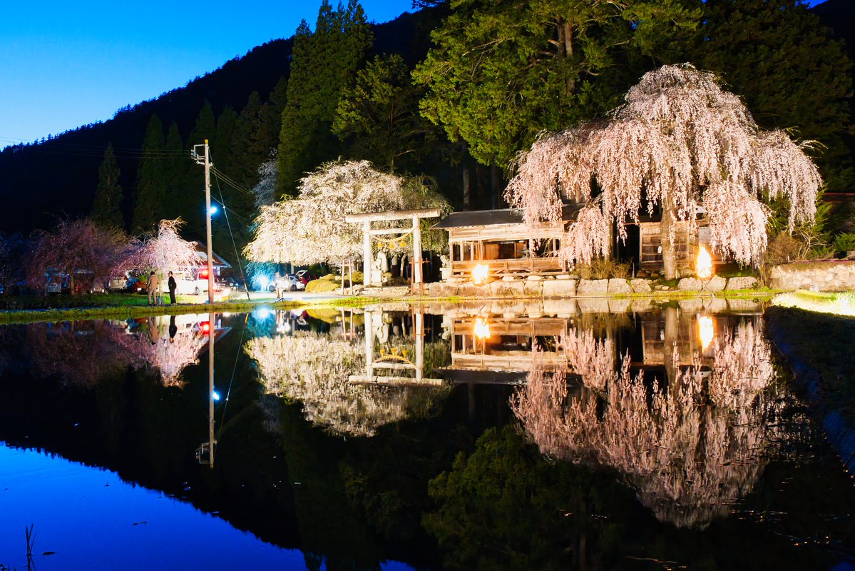 現場行きすぎて投稿できなかった2週間くらい過ぎた地元の桜名所🌸
日が沈む瞬間の空は蒼く水面に映った空は碧く幻想的✨