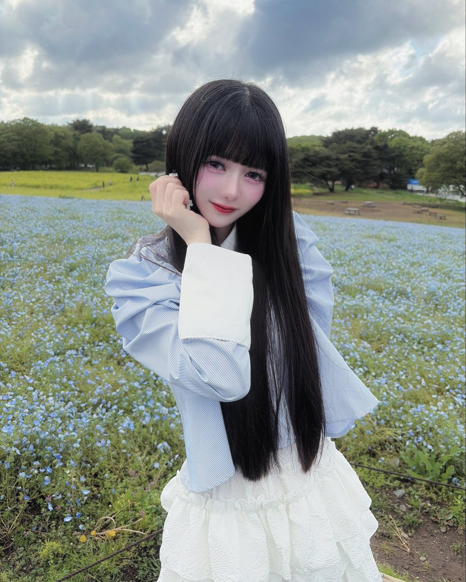 にゃんころ。 tweet media
