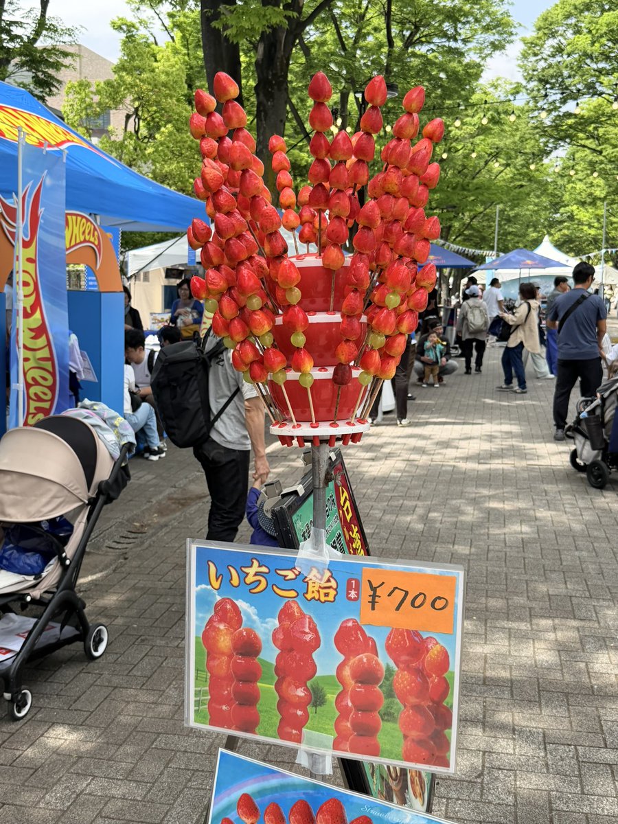 代々木公園イベント＆フェス情報 tweet media