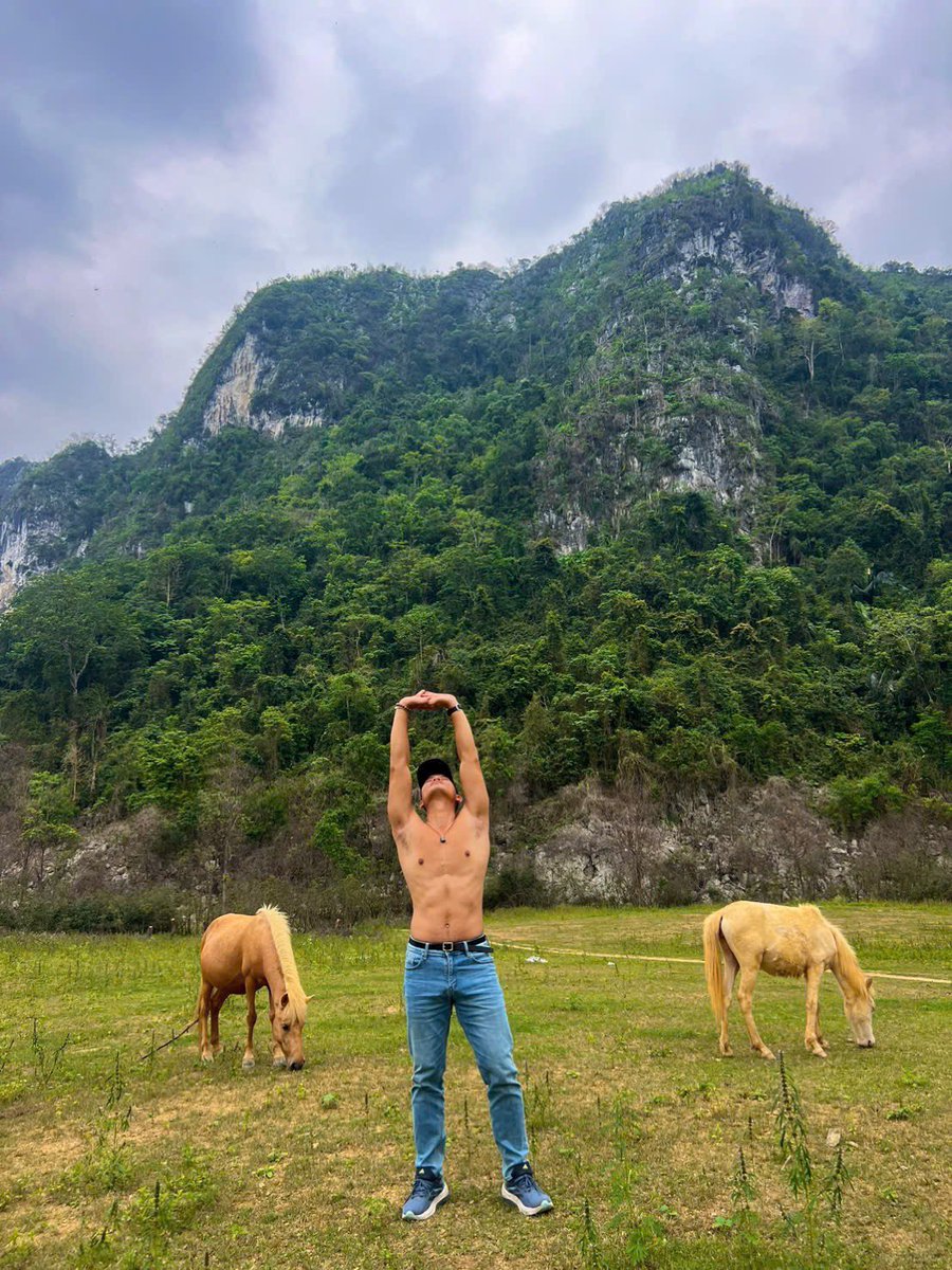 Tony Lê - Gym muscle tweet media