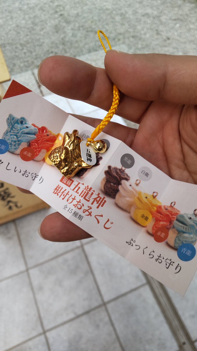 五龍神おみくじでレアな金色を引く男、菊本です