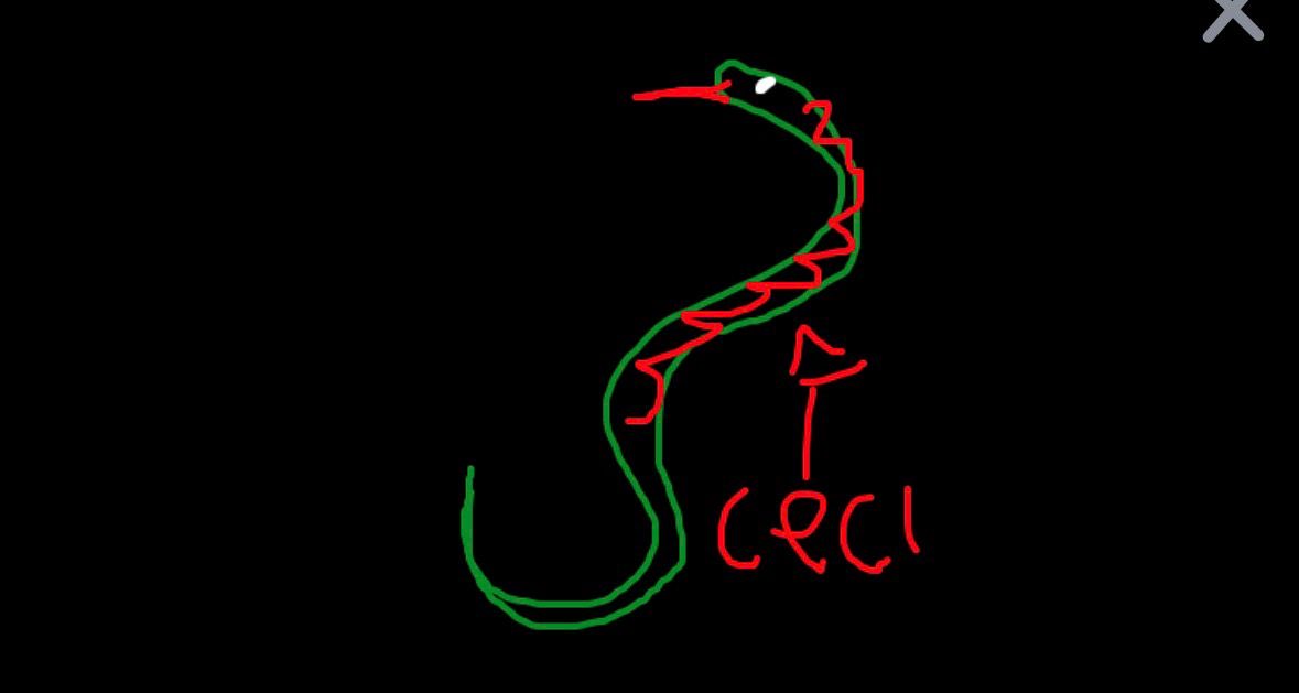 ceci tweet media