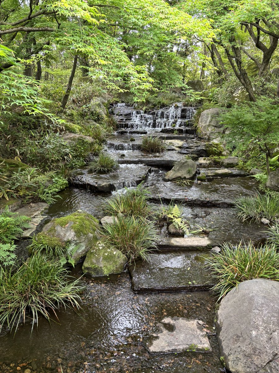 姫路城、そして好古園にも行ってきました。
もうね、姫路城の大天守が目に入った瞬間自然に涙が出ました🥲
美しすぎて…何も言えねえ…